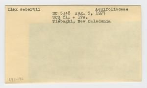 [Ilex sebertii in New Caledonia, envelope IE41-190]