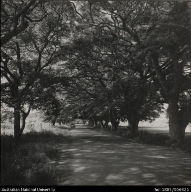 Vehicle travelling on a road