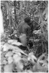 Bark-wrapped body of the old Ga'enaafou priest is lowered into a grave dug in a shrine
