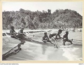 BESAMI BEACH, SALAMAUA AREA, NEW GUINEA. 1945-10-25. MEMBERS OF 2 MARINE FOOD SUPPLY PLATOON HAULING IN THEIR NETS. THEY ARE ASSISTED BY LOCAL NATIVES AND MEMBERS OF A PICNIC PARTY. THE UNIT ..