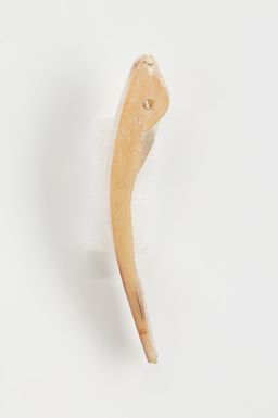 Rabatan te kaneati