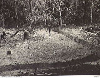 WUNUNG PLANTATION, NEW BRITAIN. 1944-12-30. A SECTION OF THE CONTOUR DRAIN USED TO DRY OUT A LARGE SEEPAGE AREA IN THE PLANTATION DUG BY PERSONNEL OF THE 28TH MALARIA CONTROL UNIT ATTACHED TO ..