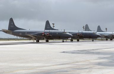 Derivatives of the US Navy (USN) P-3 Orion Aircraft representing the Royal Canadian Air Force (RCAF) CP-140 Aurora (left), 407th Maritime Patrol Squadron, British Columbia, and Royal Australian Air Force (RAAF) P-3C/AP-3C Orion, 92nd Wing, RAAF Maritime Patrol Group (MPG), RAAF Edinburgh, South Australia, sit on the flightline at Andersen Air Force Base (AFB), Guam. The aircraft are on station to participate in the joint exercise TANDEM THRUST 03, a joint US, Canada, and Australia exercise conducted in the Marianas islands to include Guam and Tinian