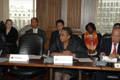 [Assignment: 48-DPA-02-26-08_SOI_K_Insular] Interagency Group on Insular Areas (IGIA) meeting at Main Interior, with Secretary Dirk Kempthorne, [Deputy Chief of Staff Doug Domenech, Acting Deputy Assistant Secretary for Insular Affairs Nikolao Pula, and other Interior officials joining Governors and Congressional representatives of U.S. island territories] [48-DPA-02-26-08_SOI_K_Insular_IOD_1192.JPG]