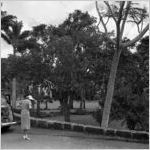 Woman by a Kigelia tree, Aina Haina Valley, Honolulu, Hawaii, 1930s