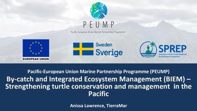 By-catch and Integrated Ecosystem Management (BIEM) - Strengthening turtle conservation and management in the Pacific: Presentation