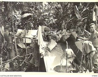 BOUGAINVILLE ISLAND. 1945-01-31. TROOPS OF "D" COMPANY, 9TH INFANTRY BATTALION CAMOUFLAGING THEIR FOXHOLES WITH BANANA LEAVES AT A FORWARD POSITION ON THE MAWARAKA- MOSIGETTA ROAD. IDENTIFIED ..