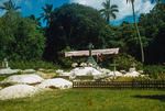 Tongan graveyard