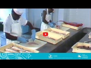 COASTAL FISHERIES TRAINING | 3.2 - A chilling story: Handling fish in the processing plant