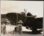 RNZAF Hudson at Rarotonga November 1944.