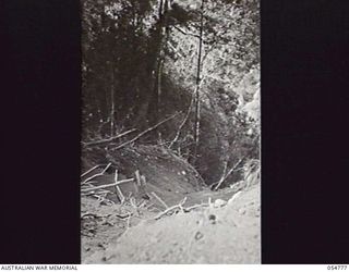 BULLDOG ROAD, NEW GUINEA, 1943-07-18. PATH OF A LANDSLIDE AT FOX GAP