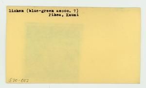 [Lichen in Hawaii, envelope IE20-002]