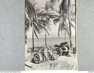 PORT MORESBY PAPUA, 1942-07-11. AUSTRALIAN ARTILLERY UNIT AT IS ACTION STATION ON THE NEW GUINEA COAST. SHADE FROM THE COCONUT PALMS PROVIDE EXCELLENT CAMOUFLAGE. NOTE -THESE ARE IN ACTUAL ..