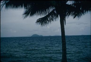 Buin (6) : Bougainville Island, Papua New Guinea, 1960 / Terence and Margaret Spencer