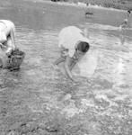 People gathering seafood