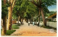 53. - Tahiti. - Papeete. - Rue du Commandant-Destremau