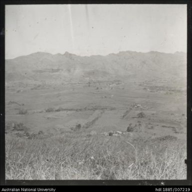 Cane fields