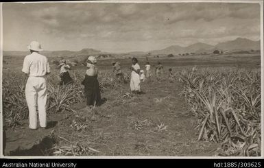 Indian women working in the fields