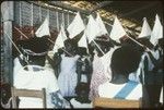 Group of people holding white flags in front of Holy Mama