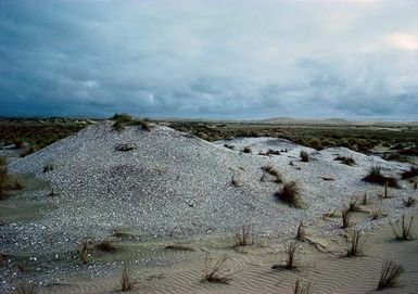 Shell midden