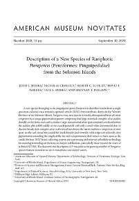 Description of a new species of rariphotic Parapercis (Perciformes: Pinguipedidae) from the Solomon Islands