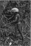 Hunting: Akis setting a snare in forest