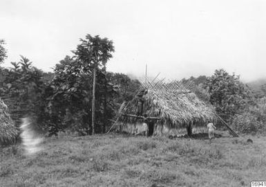 tree, house, building, photograph, ph