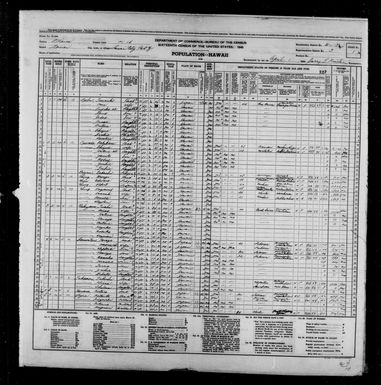 1940 Census Population Schedules - Hawaii - Maui County - ED 5-13