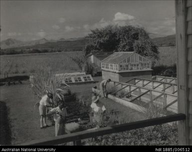 Cane Nursery