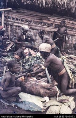 Preparing pig carcasses, Tend timp