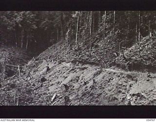 BULLDOG ROAD, NEW GUINEA, 1943-07-17. THE ROAD TO BANNON'S LOOKOUT