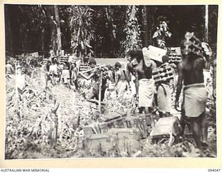BOUGAINVILLE, 1945-07-14. NATIVE CARRIERS MOVING INTO COMPANY POSITIONS WITH MORTAR BOMBS DURING THE 15 INFANTRY BATTALION ADVANCE ALONG THE AXIS OF THE BUIN ROAD IN SOUTH BOUGAINVILLE. OFFENSIVE ..