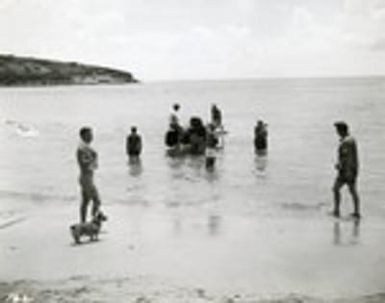 Production still from "Paradise, Hawaiian Style" (1966)