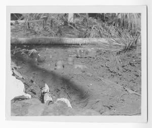 [Scattered Helmets on Guadalcanal]