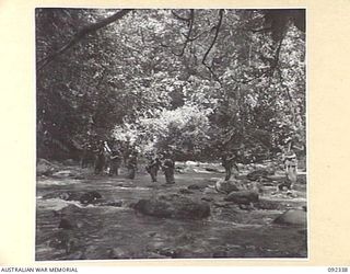 GAZELLE PENINSULA, NEW BRITAIN, 1945-05-14. TROOPS OF A COMPANY, 37/52 INFANTRY BATTALION, CROSSING A RIVER DURING THE FOURTH DAY OF THEIR TREK FROM RILE TO MAVELU, OPEN BAY