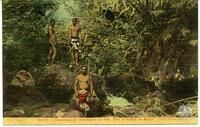 Tahiti - Chasseurs et Chercheurs de Feïs, dans la Vallée du Maiao