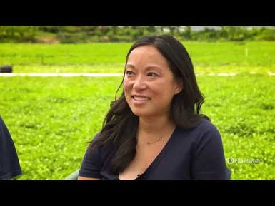 Sumida Farm | Home is Here | PBS HAWAIʻI
