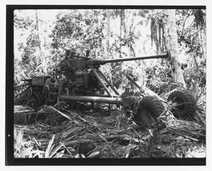 [Anti-Aircraft Gun on Guadalcanal, No. 1]