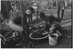 Food preparation: man and boys squeeze juice from cooked pandanus fruit into bowls