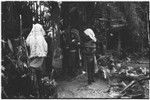 Pig festival, pig sacrifice, Tsembaga: women inside ritual fence, bundles of salted pork (right) for allies