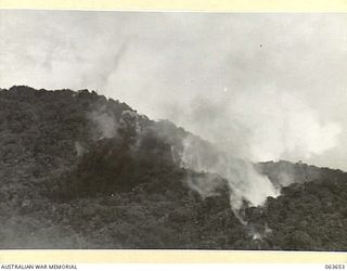 FARIA RIVER, NEW GUINEA. 1944-01-20. SMOKE RISING FROM JAPANESE POSITIONS ACROSS MAIN CREEK, AFTER A STRIKE BY ALLIED MITCHELL BOMBERS