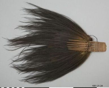 main ornament, head relationship