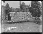 Temple, taken at the lake on Rennell Island