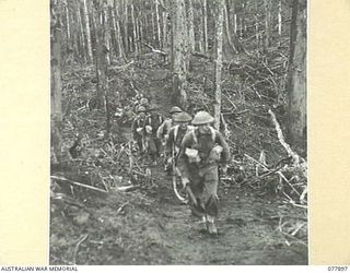 BOUGAINVILLE ISLAND, NEW BRITAIN. 1944-12-30. TROOPS OF NO. 8 PLATOON, MOVING ALONG THE TRACK ON THE SPUR OF ARTILLERY HILL DURING THE ATTACK ON JAPANESE POSITIONS ON PEARL RIDGE BY A AND D ..