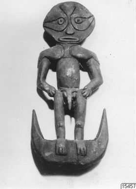 ["krok, fotografi, photograph"]