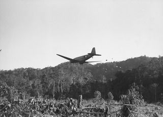 PAPUA, NEW GUINEA. 1942-10. DOUGLAS C47 TRANSPORT PLANE OF THE UNITED STATES AIR FORCE DROPPING FOOD SUPPLIES ON A CLEARED SPACE AT NAURO VILLAGE DURING THE ADVANCE OF THE 25TH AUSTRALIAN INFANTRY ..