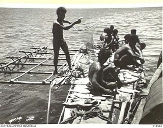 1943-04-05. NEW GUINEA. SAILING THEIR OWN LUGGERS AND LAKOTOIS THESE PAPUAN NATIVES CATCH FISH TO VARY THE DIET OF ALLIED TROOPS AND THOSE IN HOSPITAL. THE NATIVES DIVE IN AND SWIM WITH HAND NETS ..