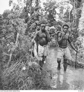 1943-01-27. PAPUA. SANANANDA AREA. MUCH HAS BEEN SAID OF THE INVALUABLE HELP WHICH THE NEW GUINEA NATIVES GIVE THE ALLIED TROOPS. THIS PICTURE SHOWS NATIVES CARRYING OUT ALLIED WOUNDED AND THE ..