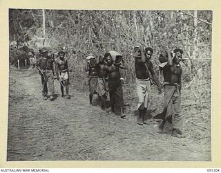 BOUGAINVILLE. 1945-04-22. LANCE-CORPORAL R. STONE (1), AND NATIVE CARRIERS MOVING ALONG HATAI TRACK WITH ROLLS OF BARBED WIRE FOR A COMPANY, 24 INFANTRY BATTALION, DURING THE BATTALION'S PUSH SOUTH ..