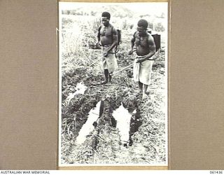 DUMPU, NEW GUINEA. 1943-12-06. NATIVE BOYS, EMPLOYED BY THE 18TH AUSTRALIAN ANTI-MALARIAL CONTROL UNIT SPRAYING WATER FILLED WHEEL TRACKS WITH MOSQUITO KILLING SPRAY